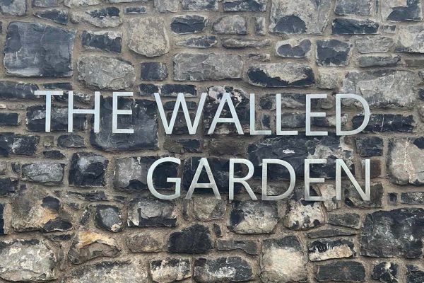 313433212_581294980463280_1921070391824967366_n